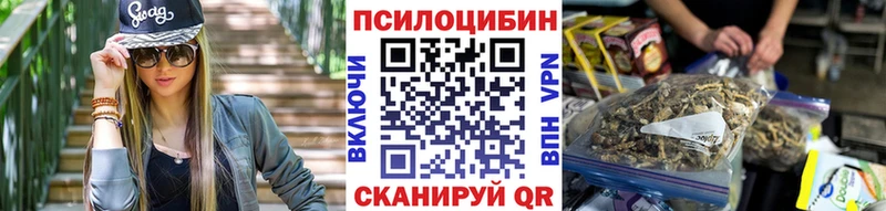 Псилоцибиновые грибы Psilocybine cubensis  Нижнекамск 