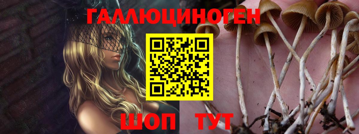 Галлюциногенные грибы GOLDEN TEACHER Нижнекамск