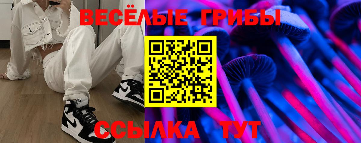 Псилоцибиновые грибы мухоморы  Вход с VPN  Нижнекамск  Псилоцибиновые грибы Magic Shrooms 